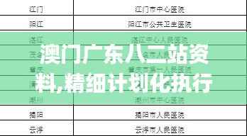 澳门广东八二站资料,精细计划化执行_V24.220