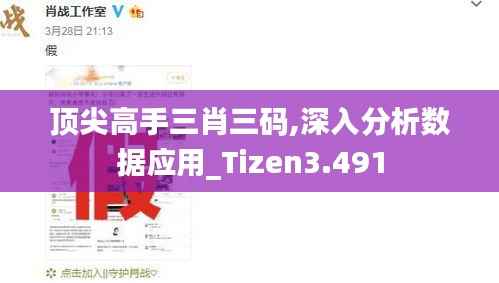 顶尖高手三肖三码,深入分析数据应用_Tizen3.491