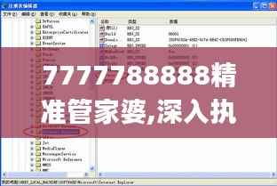 7777788888精准管家婆,深入执行方案数据_4DM13.317