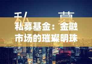 私募基金：金融市场的璀璨明珠