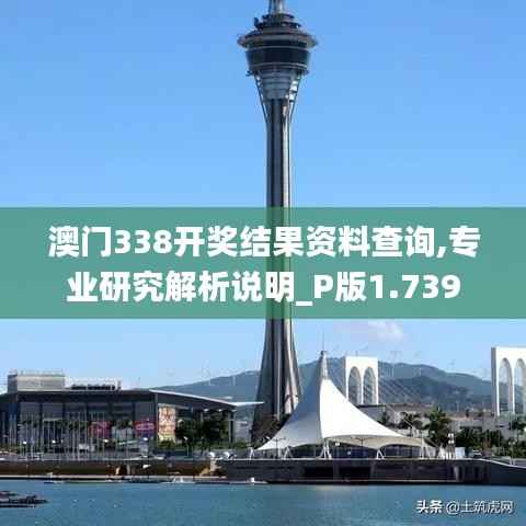 澳门338开奖结果资料查询,专业研究解析说明_P版1.739
