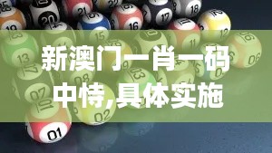 新澳门一肖一码中恃,具体实施指导_tShop6.961