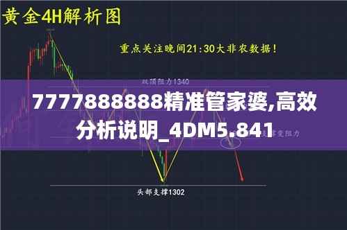 7777888888精准管家婆,高效分析说明_4DM5.841
