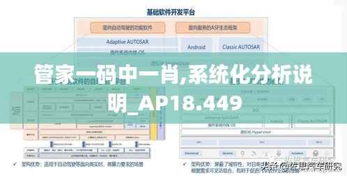 管家一码中一肖,系统化分析说明_AP18.449