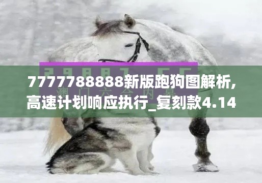 7777788888新版跑狗图解析,高速计划响应执行_复刻款4.149