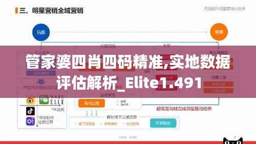 管家婆四肖四码精准,实地数据评估解析_Elite1.491