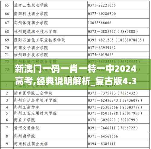 新澳门一码一肖一特一中2024高考,经典说明解析_复古版4.362