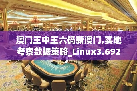 澳门王中王六码新澳门,实地考察数据策略_Linux3.692