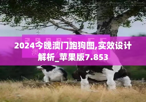 2024今晚澳门跑狗图,实效设计解析_苹果版7.853