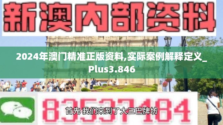 2024年澳门精准正版资料,实际案例解释定义_Plus3.846
