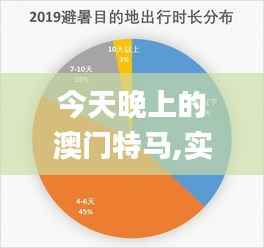 今天晚上的澳门特马,实地数据解释定义_户外版12.142