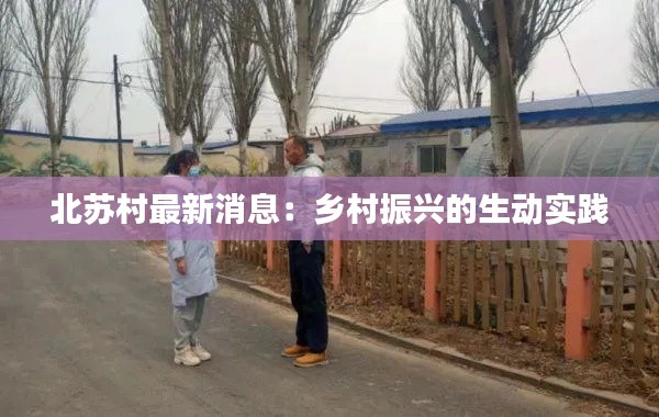 北苏村最新消息：乡村振兴的生动实践