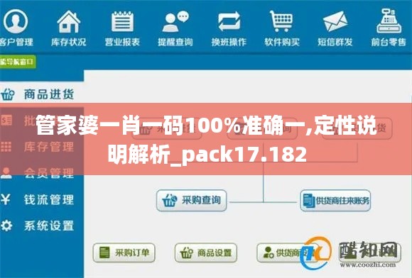 管家婆一肖一码100%准确一,定性说明解析_pack17.182