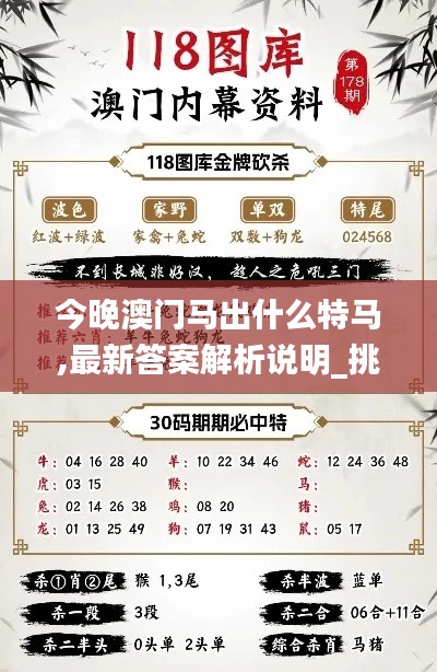 今晚澳门马出什么特马,最新答案解析说明_挑战版6.649