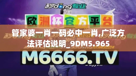 管家婆一肖一码必中一肖,广泛方法评估说明_9DM5.965