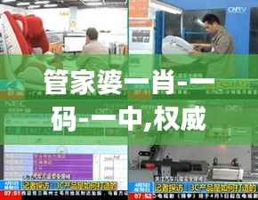 管家婆一肖-一码-一中,权威研究解释定义_豪华款3.929