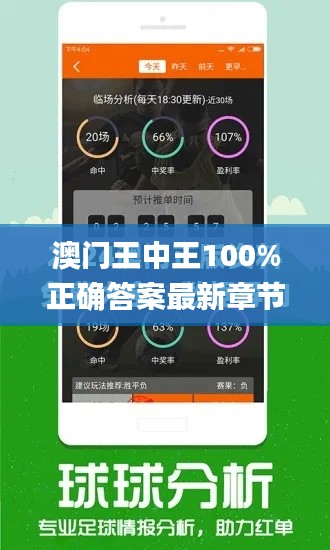 澳门王中王100%正确答案最新章节,高效解答解释定义_SE版2.678
