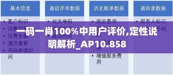 一码一肖100%中用户评价,定性说明解析_AP10.858