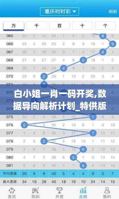 白小姐一肖一码开奖,数据导向解析计划_特供版18.361