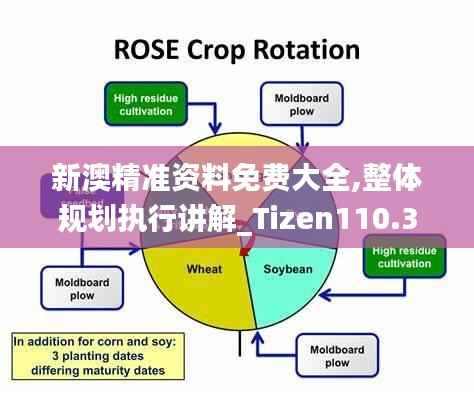 新澳精准资料免费大全,整体规划执行讲解_Tizen110.338