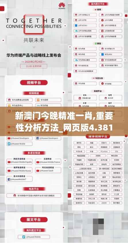 新澳门今晚精准一肖,重要性分析方法_网页版4.381