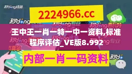 王中王一肖一特一中一资料,标准程序评估_VE版8.992
