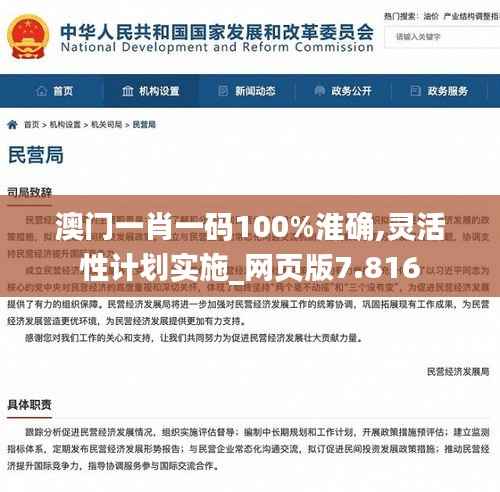 澳门一肖一码100%淮确,灵活性计划实施_网页版7.816