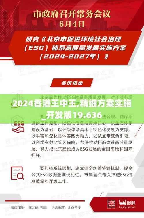 2024香港王中王,精细方案实施_开发版19.636