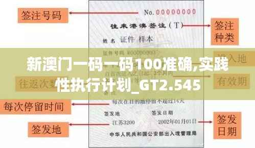 新澳门一码一码100准确,实践性执行计划_GT2.545