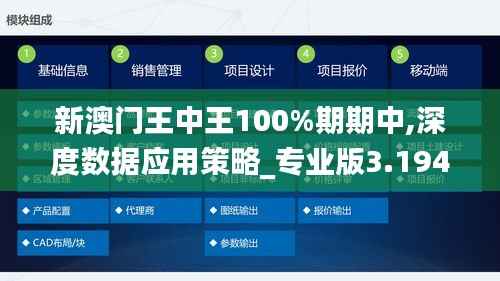 新澳门王中王100%期期中,深度数据应用策略_专业版3.194