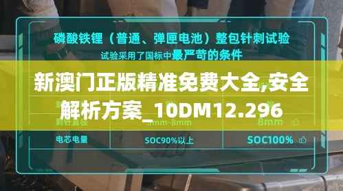 新澳门正版精准免费大全,安全解析方案_10DM12.296