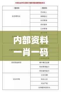 内部资料一肖一码,实地考察数据应用_影像版6.478