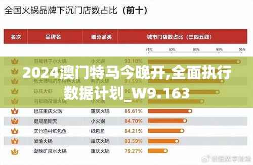 2024澳门特马今晚开,全面执行数据计划_W9.163