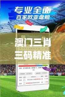 澳门三肖三码精准100%管家婆,实地验证数据策略_手游版19.873