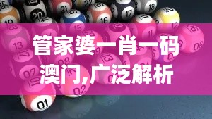 管家婆一肖一码澳门,广泛解析方法评估_3K16.962
