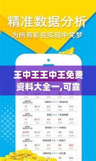 王中王王中王免费资料大全一,可靠执行计划策略_4K6.847
