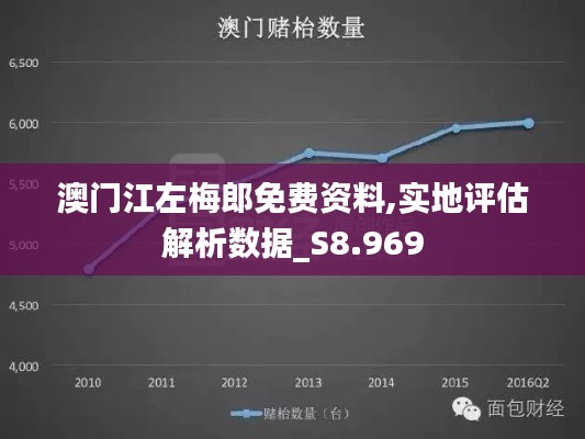 澳门江左梅郎免费资料,实地评估解析数据_S8.969