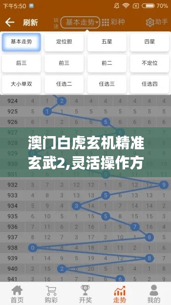 澳门白虎玄机精准玄武2,灵活操作方案_V版10.619
