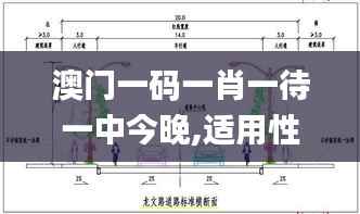 澳门一码一肖一待一中今晚,适用性策略设计_FT8.505