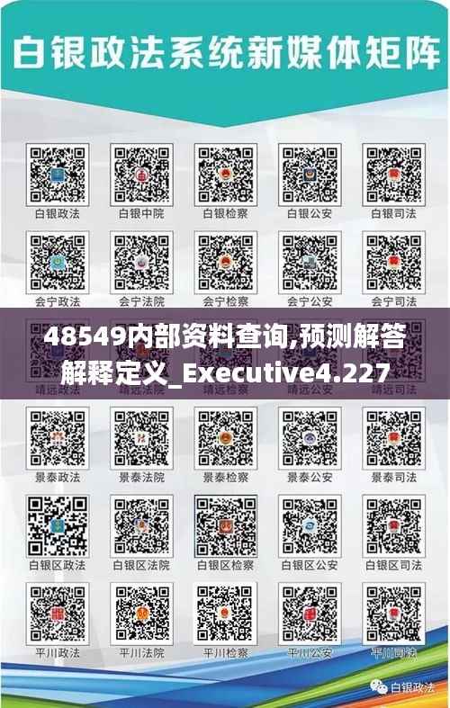 48549内部资料查询,预测解答解释定义_Executive4.227