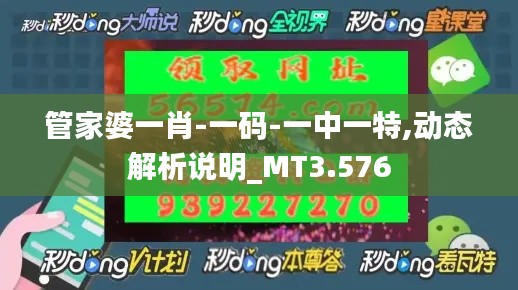 管家婆一肖-一码-一中一特,动态解析说明_MT3.576