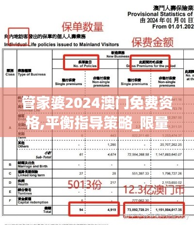 管家婆2024澳门免费资格,平衡指导策略_限量款9.572