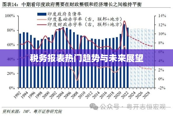 税务报表热门趋势与未来展望