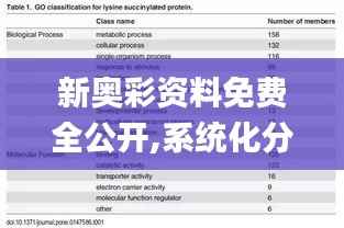 新奥彩资料免费全公开,系统化分析说明_L版1.676