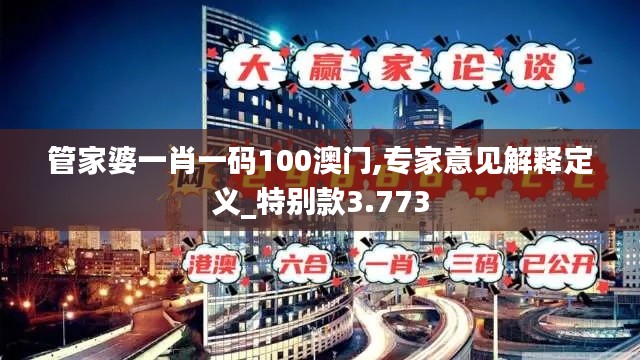 管家婆一肖一码100澳门,专家意见解释定义_特别款3.773