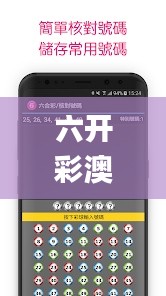 六开彩澳门开奖结果查询,创新性执行计划_Linux2.341
