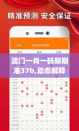 澳门一肖一码期期准37b,动态解释词汇_静态版18.242