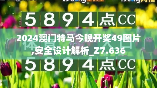 2024澳门特马今晚开奖49图片,安全设计解析_Z7.636