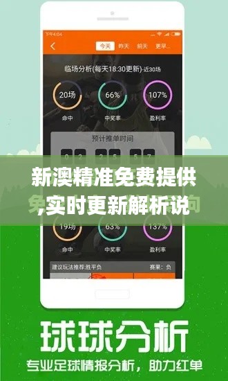 新澳精准免费提供,实时更新解析说明_Tizen8.856