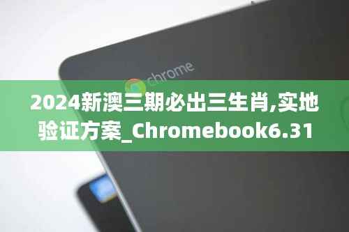2024新澳三期必出三生肖,实地验证方案_Chromebook6.319
